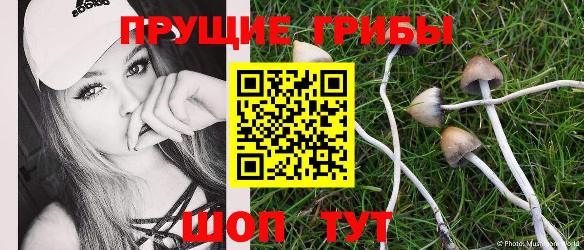 Ахтубинск  Галлюциногенные грибы мицелий  Вход с VPN 