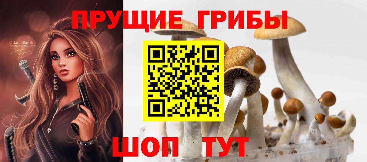 Галлюциногенные грибы мухоморы Ахтубинск
